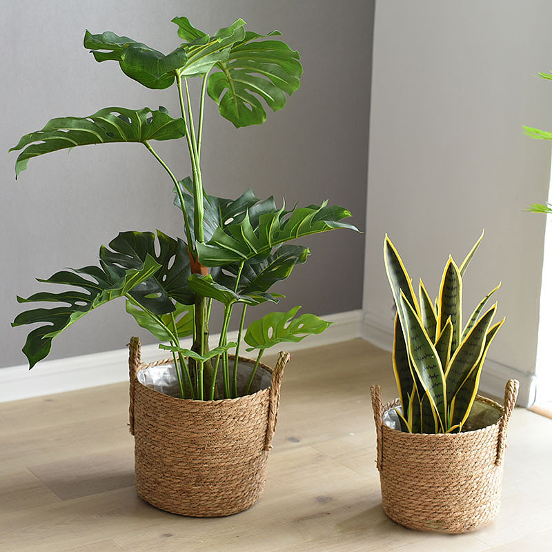 1개 수공예 천연 라탄 손잡이 화분은 식물, 세탁 바구 - Rattan Tray Handle 리뷰 및 가격